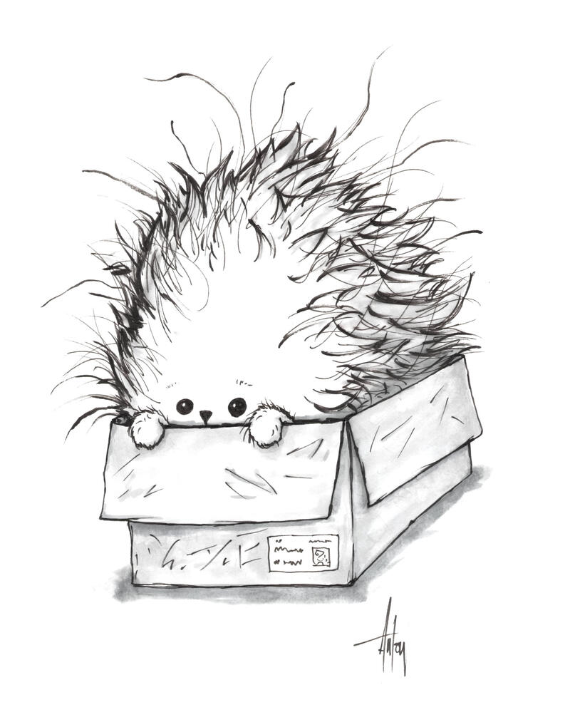 A Fluffy Box A Fluffy Box